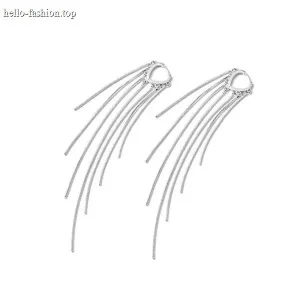 Silver Tassel Pendant Earrings